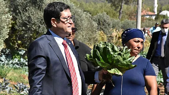 Dalaman'da Tatlı Patates ve Kışlık Sebze Tarla Günü Yapıldı