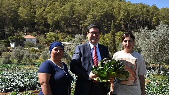 Dalaman'da Tatlı Patates ve Kışlık Sebze Tarla Günü Yapıldı