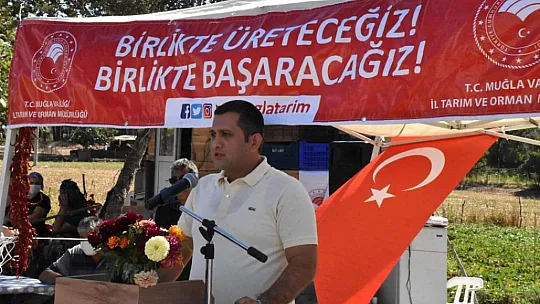 Dalaman'da Tatlı Patates ve Kışlık Sebze Tarla Günü Yapıldı