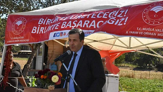 Dalaman'da Tatlı Patates ve Kışlık Sebze Tarla Günü Yapıldı