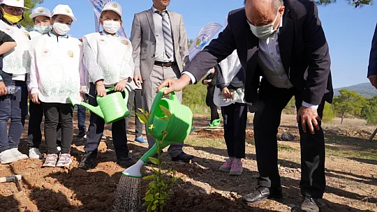 Seydikemer'de fidanlar nefes olacak