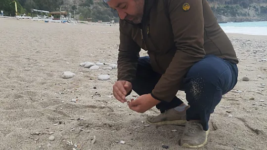 Ruslar'dan sahil temizliği