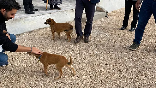 Memduha Teyze Evine Kavuştu