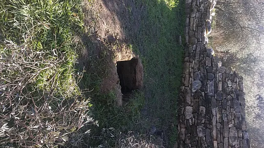 Oyun oynarken canından oluyordu