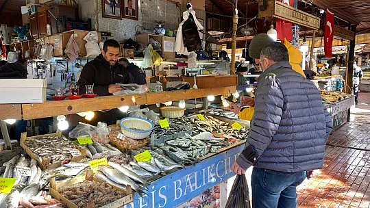 Bağışıklık sistemi için balık 