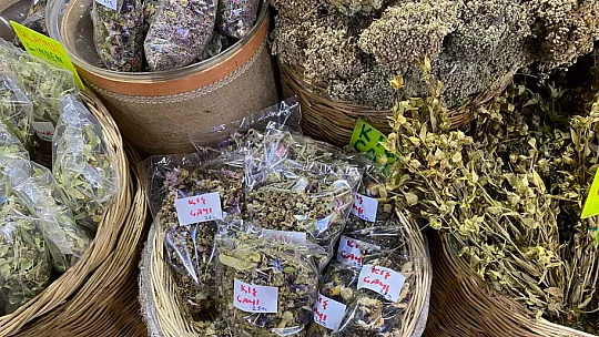 Her derde deva şifalı bitkiler