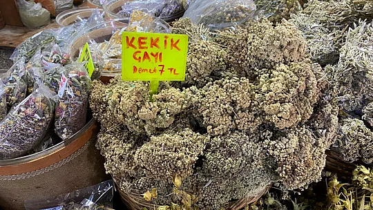 Her derde deva şifalı bitkiler