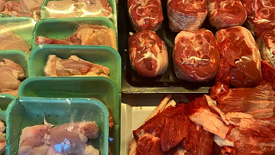 Mangalda Yüksek Sezon, Ağustos Ayı