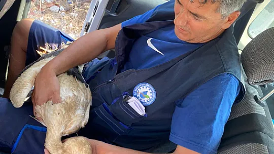 YARALI LEYLEK KURTARILDI