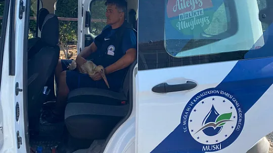 YARALI LEYLEK KURTARILDI