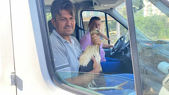 YARALI LEYLEK KURTARILDI