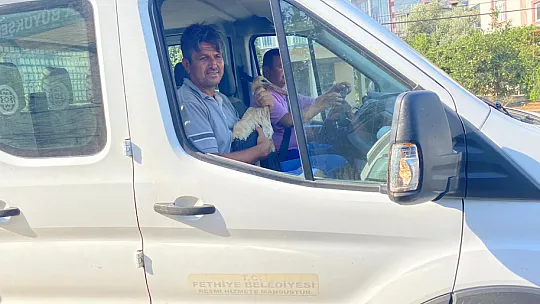 YARALI LEYLEK KURTARILDI