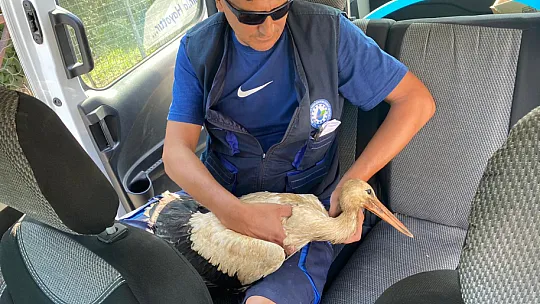 YARALI LEYLEK KURTARILDI