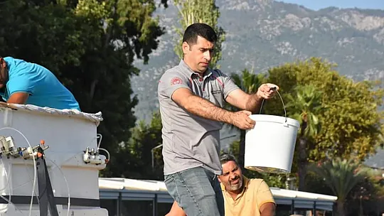 KÖYCEĞİZ GÖLÜNE 260 BİN YAVRU SAZAN BALIĞI BIRAKILDI