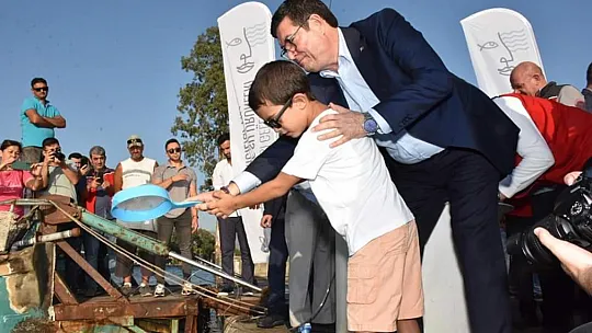 KÖYCEĞİZ GÖLÜNE 260 BİN YAVRU SAZAN BALIĞI BIRAKILDI