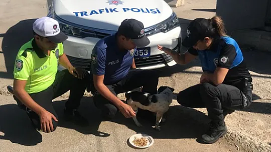 EMNİYETTEN MAMA DAĞITIMI