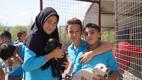 KERMESTEN ELDE ETTİKLERİ GELİRİ SOKAK HAYVANLARI İÇİN HARCADILAR