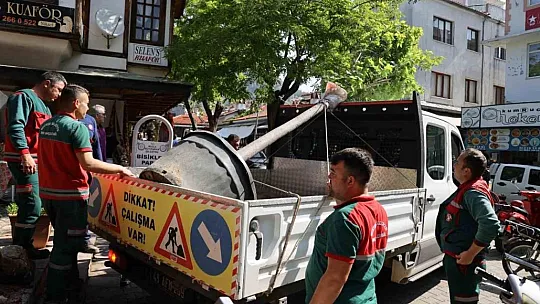 Yağcılar Hanı'nda devrilen çınarın yerine yenisi dikildi