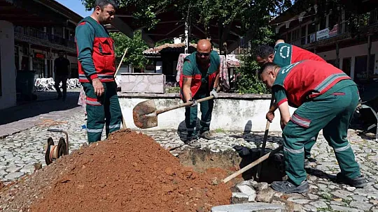 Yağcılar Hanı'nda devrilen çınarın yerine yenisi dikildi