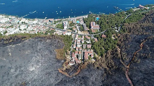 Yanan alanlarda kesim çalışmaları başladı