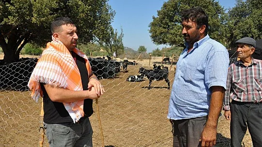 Yanan çadırın yenisi elbirliğiyle kuruldu