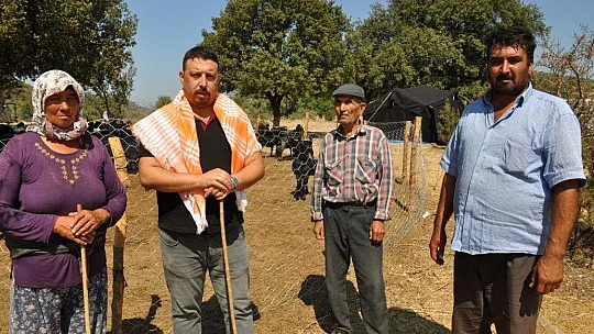 Yanan çadırın yenisi elbirliğiyle kuruldu