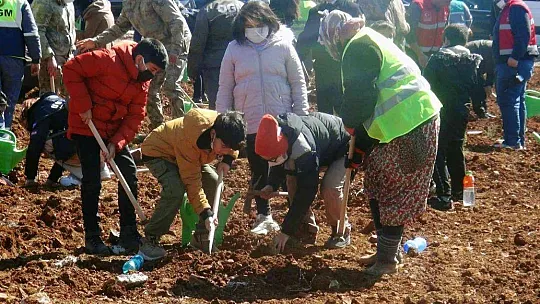 Yanan sahaların yüzde 75'inde çalışmalar tamamlandı