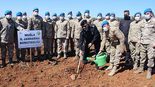 Yanan sahaların yüzde 75'inde çalışmalar tamamlandı