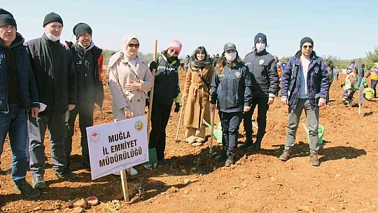 Yanan sahaların yüzde 75'inde çalışmalar tamamlandı