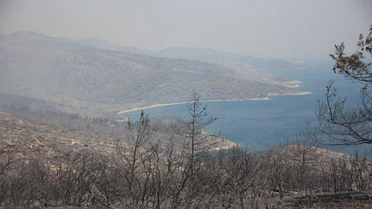 Yangın Bodrum'da kontrol altına alındı
