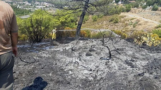 Yangın ortasında kalan kaplumbağayı itfaiyeciler kurtardı