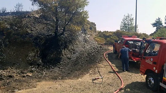 Yangın ortasında kalan kaplumbağayı itfaiyeciler kurtardı
