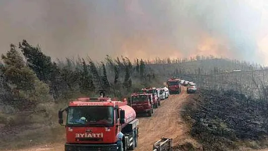 Yangın yönünü Okluk Koyu'na çevirdi