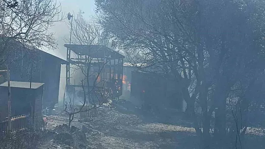 Yangında 4 'tiny house' küle döndü