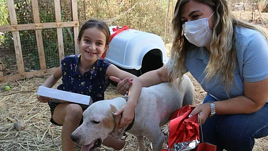 Yangında köpeğinin kulübesi yanmıştı, minik Merve'nin hayali gerçek oldu