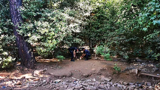 Yangından kaçan domuzlara Jandarma ve otelciler yemek verdi