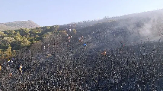 Yangını duyan koştu, metrelerce uzunluğunda insan zinciri oluştu