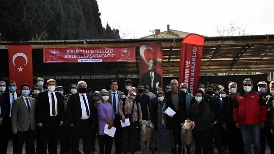 Yangınlarda zarar gören çiftçilere koyun desteği