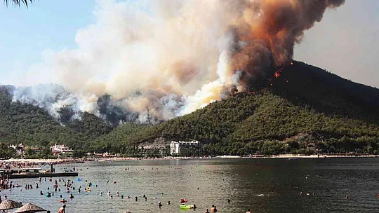 Yangınların sosyo-ekonomik etkileri projesi WWF raporunda