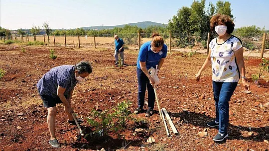 Yaşlılar ve engelliler için hobi bahçesi