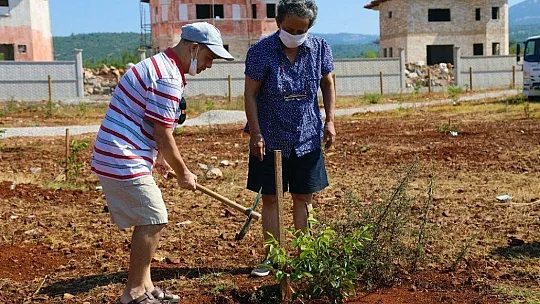 Yaşlılar ve engelliler için hobi bahçesi