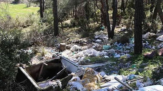 Yatağan'da ormanlık alanlara çöp bırakanlara tepki gösterdiler