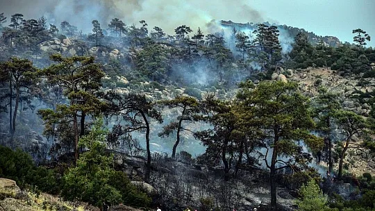 Yatağan'da yangınla mücadele fotoğraf karelerine yansıdı