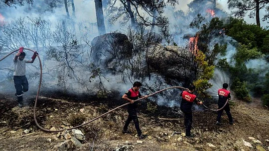 Yatağan'da yangınla mücadele fotoğraf karelerine yansıdı