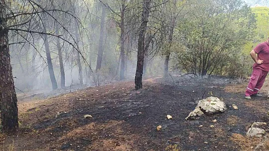 YATAĞAN'DA YILDIRIM KAYNAKLI ÇIKAN ORMAN YANGIN SÖNDÜRÜLDÜ