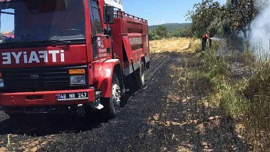 Yatağan'daki yangında 6 dönüm alan zarar gördü