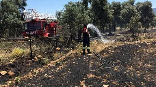 Yatağan'daki yangında 6 dönüm alan zarar gördü