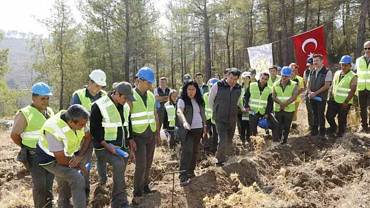 YATAĞAN, MİLAS VE KAVAKLIDERE İŞLETME MÜDÜRLÜKLERİNİN SİLVİKÜLTÜR TATBİKATI YAPILDI