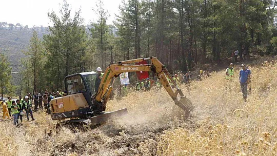YATAĞAN, MİLAS VE KAVAKLIDERE İŞLETME MÜDÜRLÜKLERİNİN SİLVİKÜLTÜR TATBİKATI YAPILDI