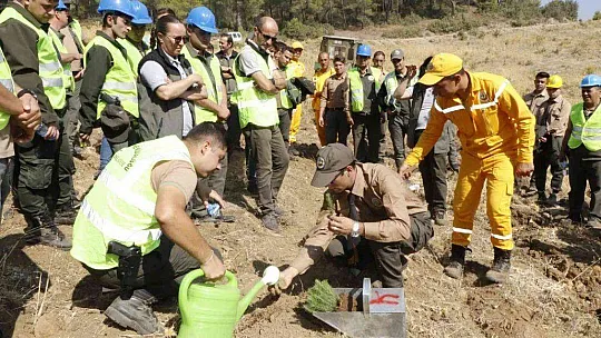YATAĞAN, MİLAS VE KAVAKLIDERE İŞLETME MÜDÜRLÜKLERİNİN SİLVİKÜLTÜR TATBİKATI YAPILDI